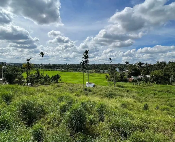 ĐẤT SIÊU ĐẸP – MẶT TIỀN ĐƯỜNG NHỰA HOÀ THẮNG