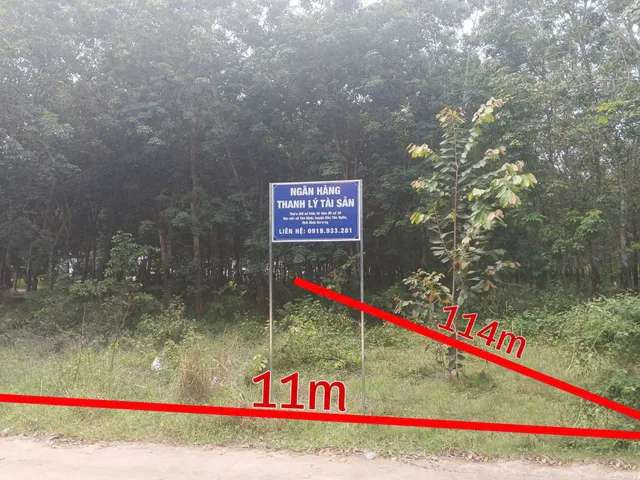 BẮC TÂN UYÊN, NGÂN HÀNG THANH LÝ ĐẤT NGANG 11M, DT 1536.8M2, ĐƯỜNG BÊ TÔNG 4M, GIÁ  1 TỶ 606