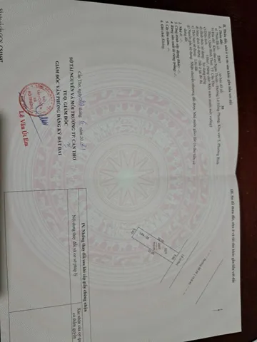 Nền đường số 29, KDC Stella