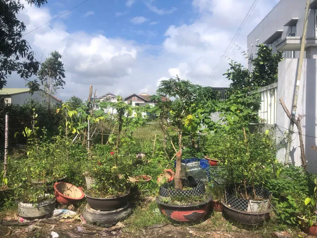 Bán 200m2 đất thổ cư tại 7/31 Ngô Đăng Sở, P.Phú Bài, Hương Thuỷ, TP Huế.