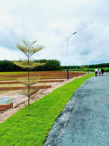 Bán đất 234m² có sẵn 50m² thổ cư ngang 5m giá 600 triệu tại Xã Nha Bích