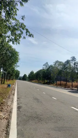 ĐẤT ĐẸP – GIÁ TỐT  – ĐẦU TƯ LÀ SINH LỜI - Bán Đất Mặt Tiền Phường Thới Hòa, Bến Cát, Bình Dương
