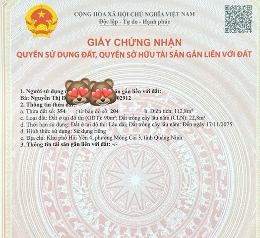 Bán đất 113.3m² có sẵn 90m² thổ cư ngang 4,5m giá 1.25 tỷ tại Phường Hải Yên Thành phố Móng Cái
