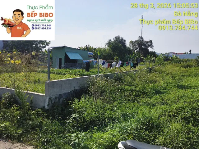 Bán đất 164m² full thổ cư ngang 5m giá 825 triệu tại Xã Đại Lộc