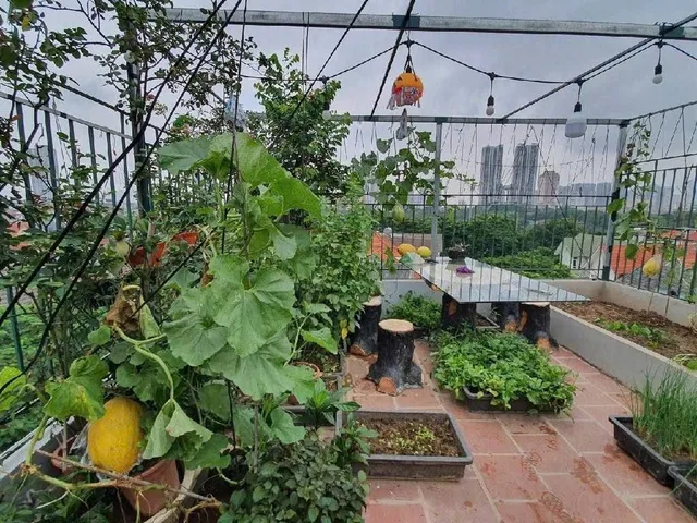 🔥 SIÊU PHẨM LK KĐT VĂN QUÁN – VIEW BIỆT THỰ & HỒ – VỈA HÈ Ô TÔ – 70M².