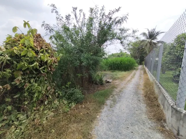 Bán đất 400m² có sẵn 200m² thổ cư ngang 8m giá 800 triệu tại Phường Trảng Bàng