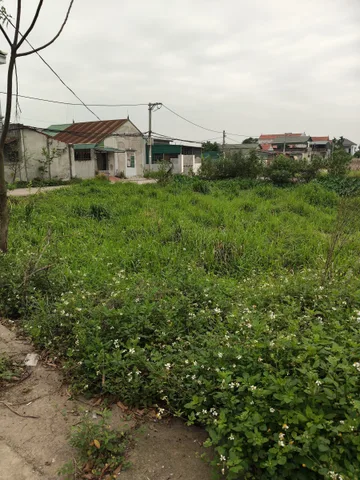 2 mặt tiền- tại tiểu khu Đại nam Phú xuyên Hà Nội -180m2- Mt:12m : hơn 9 tỷ có thương lượng