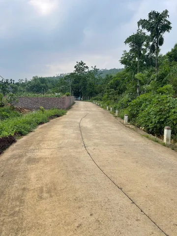 Mảnh đất nghỉ dưỡng thôn Bưởi, Khánh Thượng, Ba Vì, Hà Nội. Nay thuộc xã Ba Vì mới
