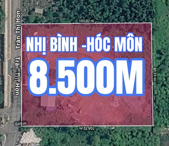 🟥Bán đất 8581.5m² ngang 82m giá 71.5 tỷ tại Đường Nhị Bình 15 Xã Đông Thạnh