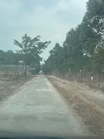 DT : 200m2 có sẳn 100m2 thổ cư giá 585 tr mặt tiền vành đai KCN Becamex đường số 29 chuẩn bị lên nhựa