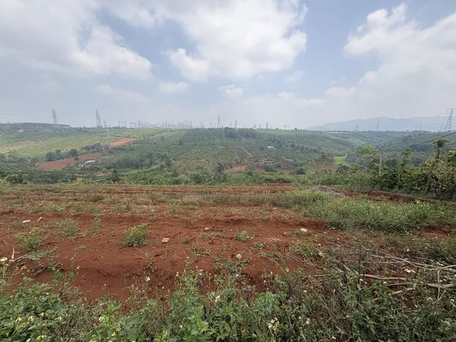 2,4ha đất trống Chư Păh- 2tỷ9 thương lượng