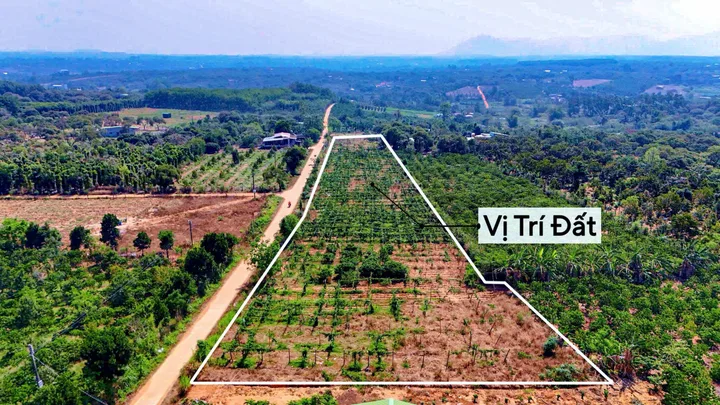 Bán đất 280m² có sẵn 60m² thổ cư ngang 10m giá 210 triệu tại Xã Ea Kar