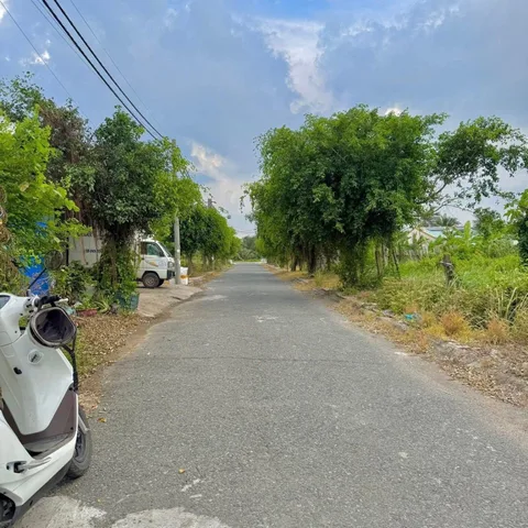 🌿✨ ĐẤT ĐƯỜNG NHỰA – KHU VILLA TÂN MỸ CHÁNH – HÀNG HIẾM ✨🌿
