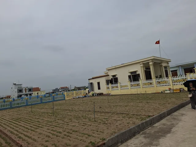 Bán nhanh lô đất thổ cư View Biển Quất Lâm, Vị trí đẹp, giá cắt lỗ
