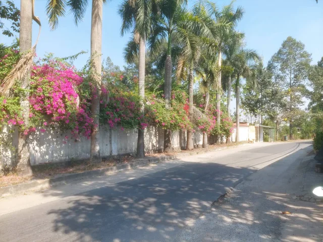Bán nhà vườn trang trại 1 xẹt ngắn đường Tỉnh Lộ 8 xã Phước Vĩnh An Củ Chi TPHCM, DT: 12000m2.