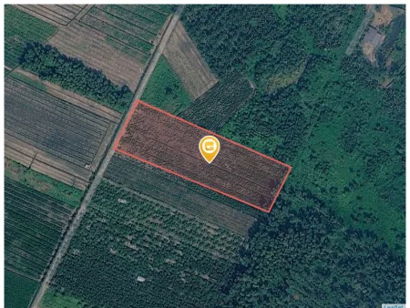 Bán đất 16000m² ngang 50m giá 39.2 tỷ tại Xã Bình Lợi