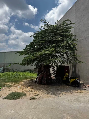 Bán đất 83m² full thổ cư ngang 5.15m giá 4.2 tỷ tại Xã Tân Vĩnh Lộc