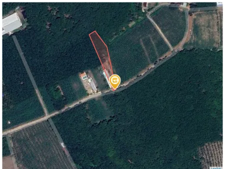 Bán đất 1228.5m² có sẵn 100m² thổ cư ngang 10m tại Xã An Long