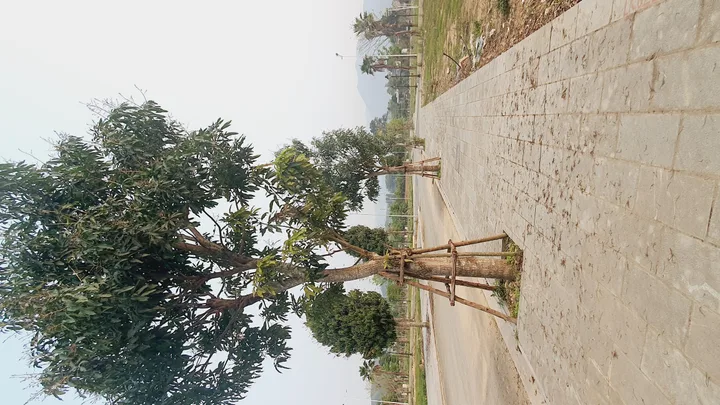 Bán đất nền HUD Lương Sơn – Lô LK2 hướng Bắc view công viên.