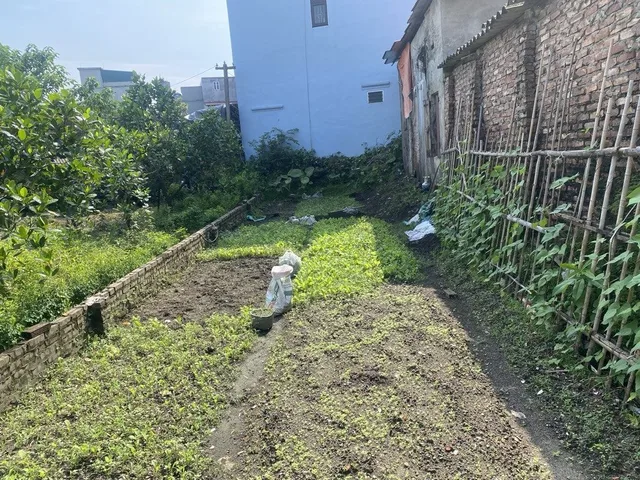 BÁN LÔ ĐẤT 87M2 NGÕ THÔNG OTO 7 CHỖ, GIÁP CHỢ BÚN ĐA TỐN