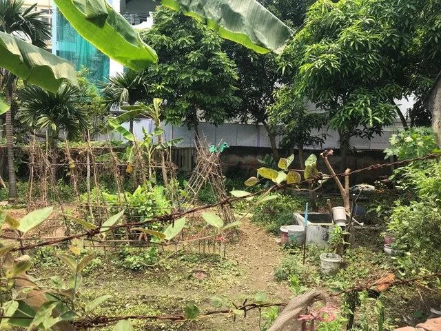 BÁN 640M2 ĐẤT FULL THỔ CƯ MẶT ĐƯỜNG OTO TRÁNH TẠI ĐA TỐN, CHỈ 30M RA ĐƯỜNG GIÁP HẢI