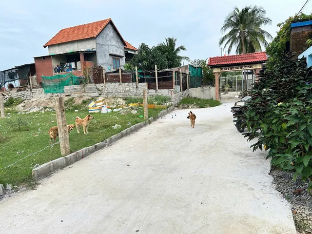 0763615365 Bán đất 184m² có sẵn 50m² thổ cư ngang 6m giá 1.55 tỷ tại Phường Đông Ninh Hòa NP