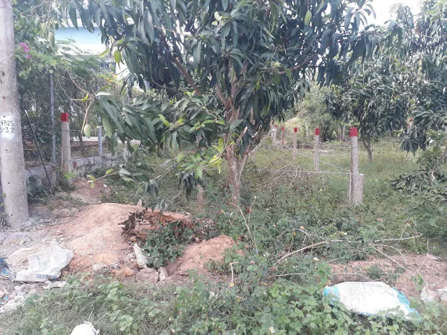 0763615365 Bán đất 101m² full thổ cư ngang 5m giá 299 triệu tại Xã Tân Định NP