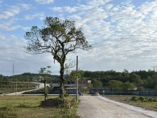 MỞ BÁN KHU PHÂN LÔ DẠ LÊ, TP.HUẾ, GIÁ 531 TRIỆU