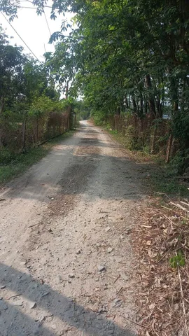 Cần Bán Lô Đất gần đường An Bình diện tích khủng, 6x60m, có 100m thổ, SHR, 630Tr