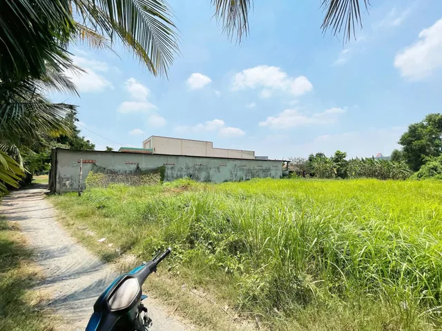 Bán đất 2921.6m² có sẵn 125m² thổ cư ngang 5m giá 1.35 tỷ tại Xã Đức Hòa