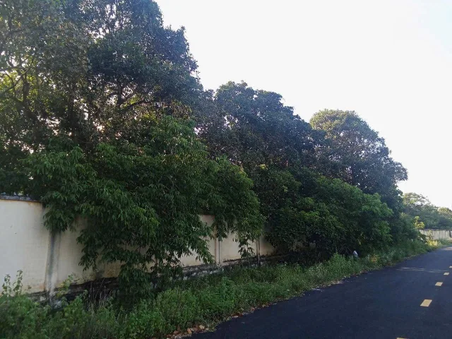 Lô Đất Phước Thuận Hồ Tràm tiềm năng - Giá chỉ 7Tỷ2