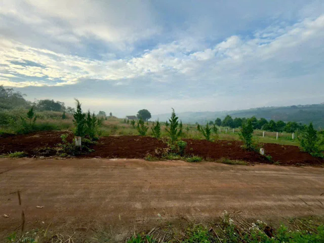 Bán đất NGỘP thị trấn Nam Ban chỉ 2.5km ra tới chợ Nam Ban. Giá 450 triệu