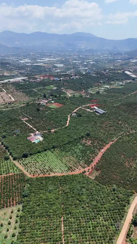 Đất xã Nam Hà 7.5 sào với 130m mặt tiền. Qui hoạch Full Thổ Cư. GIá 1 tỷ/1 sào