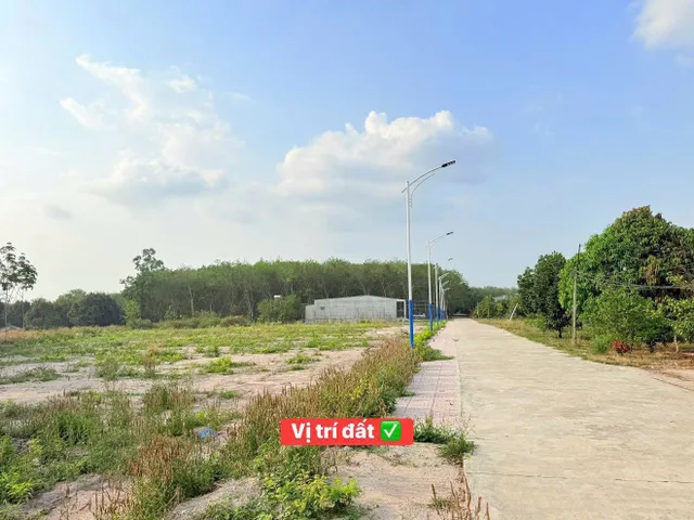 🚀 QUỸ ĐẤT HCM LỚN HIẾM – 3000m2 CHỈ 1t3 – ĐƯỜNG THÔNG CAO TỐC