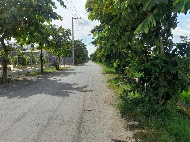 Bán đất vườn mặt tiền nhựa đường Trương Thị Như xã Xuân Thới Sơn huyện Hóc Môn TPHCM, DT: 19500m2.