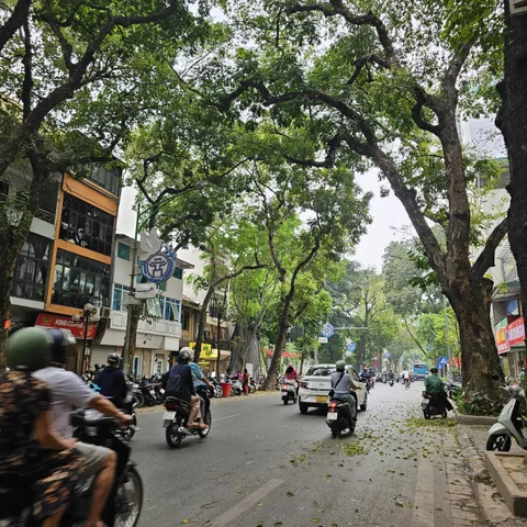 Bán nhà Phan Đình Phùng - Ba Đình 50m, 4 tầng - khu dân trí cao, hiếm nhà bán