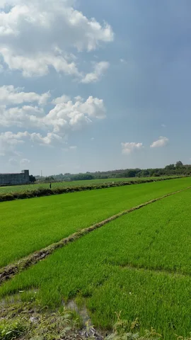 [CƠ HỘI ĐẦU TƯ ĐÓN ĐẦU] – 3 HÉC-TA ĐẤT VEN HỒ BIỂN LẠC, ĐỨC LINH – VIÊN KIM CƯƠNG THÔ CHỜ KHỞI SẮC