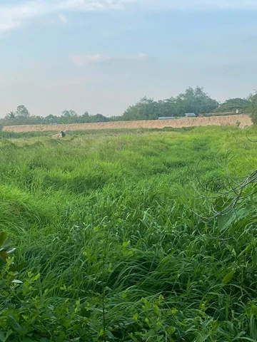 BÁN 3000M2 (15x200) - ĐẤT CÁI RĂNG, TP Cần Thơ - LỘ 91C 40m đang thi công - VIEW Sông gạch Ông Tiêm