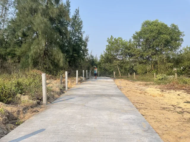Đất cây lâu năm biển bình minh đà nẵng mới