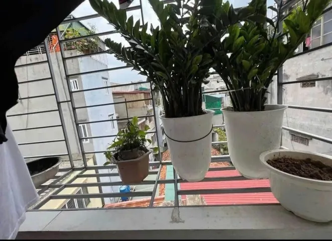 Cho Thuê Nhà Ngõ 115 Nguyễn Lương Bằng - Đống Đa 30M² 5 Tầng 3 Ngủ Full Nội Thất - Giá Thuê 12tr