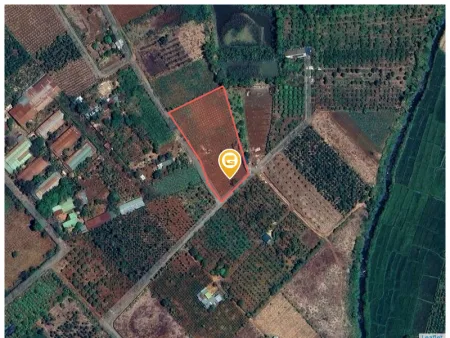Bán đất 4890m² ngang 150m giá 475 triệu tại Xã Hòa Phú