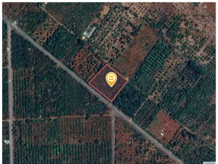 ‼️3,3 sào đất 2 mặt tiền trước sau , 62m măth tiền đường nhựa 👉Phường khánh xuân ( cũ)
