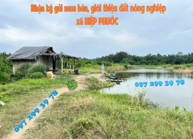 Bán đất nền, 6193 m², Nhà Bè