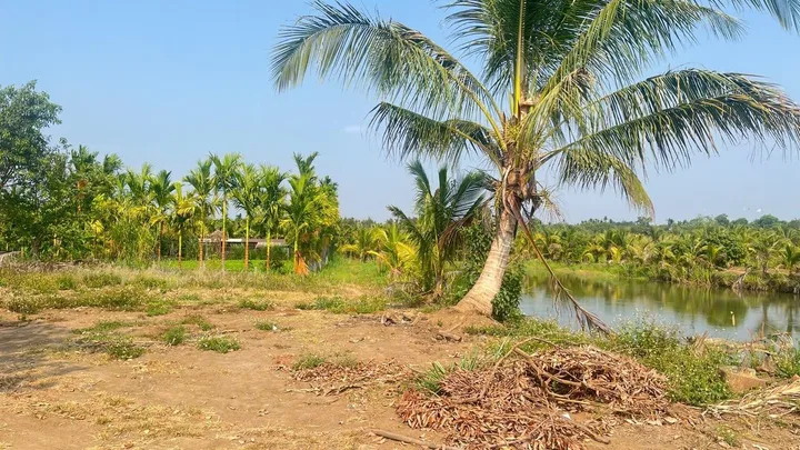 Bán đất đấu giá eapok  150m² có sẵn 60m² thổ cư ngang 5m giá 800 triệu tại Xã Quảng Phú