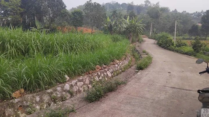 Mảnh đất thuộc thôn Phú Lội - xã Minh Quang - Ba Vì - Hà Nội