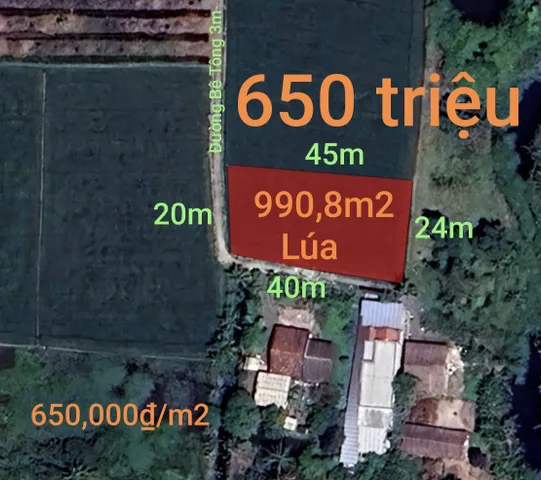 Bán đất 990,8m² ngang 20m giá 650 triệu tại Xã Vàm Cỏ