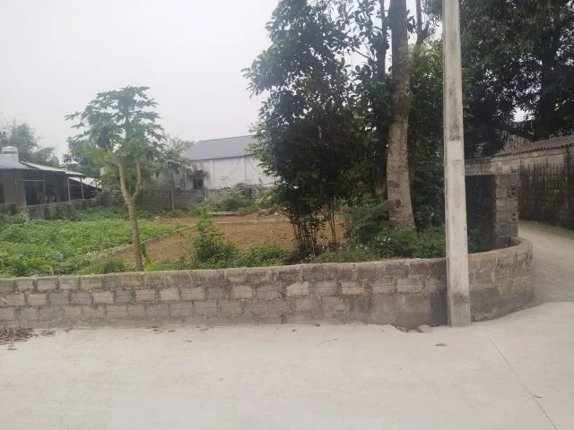 155.6m - đường thông - khu dân cư - tài chính hơn 1tỷ
