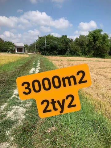 Bán đất 1723.2m² có sẵn 1700m² thổ cư ngang 62m giá 2.2 tỷ tại Xã An Ninh