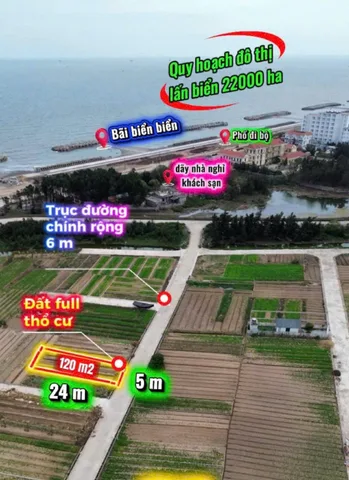 Đúng 1 lô giá như vậy tại Thịnh Long