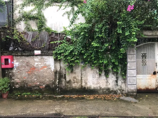 Bán đất 57,3m² ngõ 667 Nguyễn Văn Cừ , Gia Thuỵ , Long Biên  full thổ cư ngang 4,8m giá 9.74 tỷ tại Phường Bồ Đề
